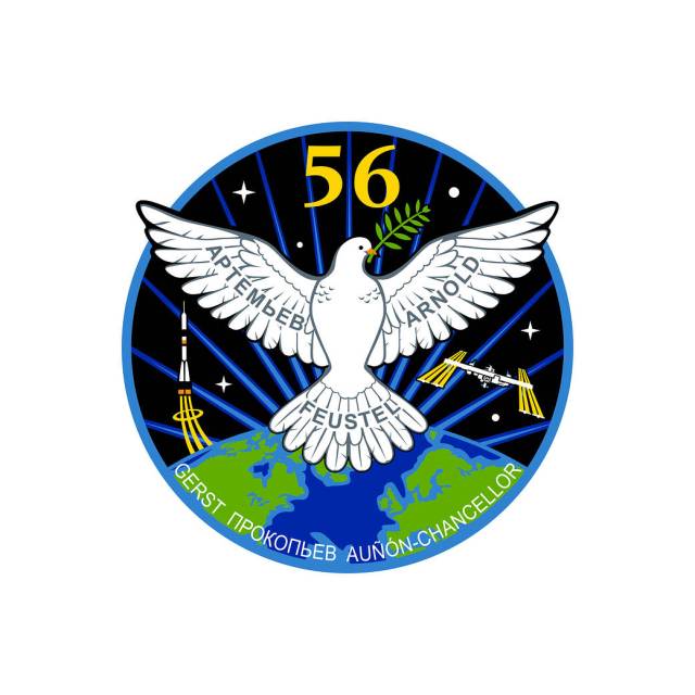 Expedition 56 Insignia