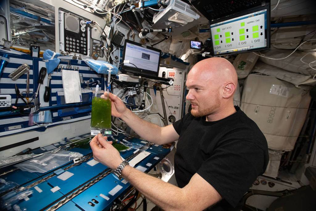 Astronaut Alexander Gerst checks a culture bag for the Space Algae experiment