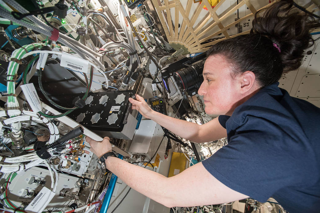 Serena Auñón-Chancellor studies muscle growth in microgravity