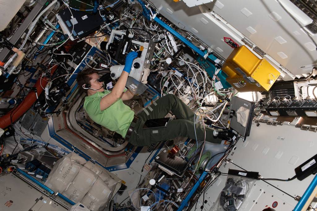 Astronaut Anne McClain of NASA peers into a microscope