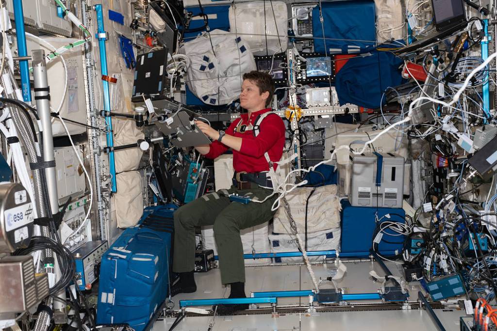 NASA Astronaut Anne McClain Conducts Space Science and Station Maintenance