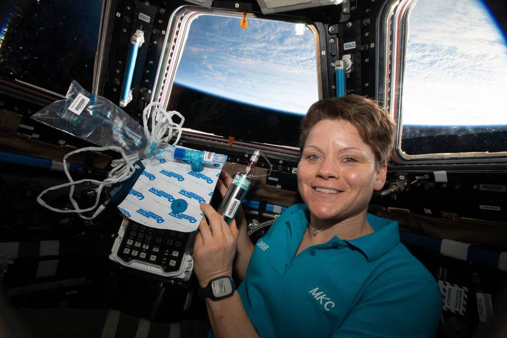Expedition 58 Flight Engineer Anne McClain of NASA