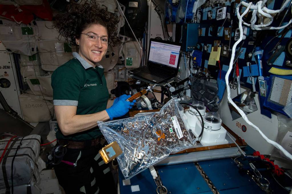 NASA astronaut Christina Koch works on space botany