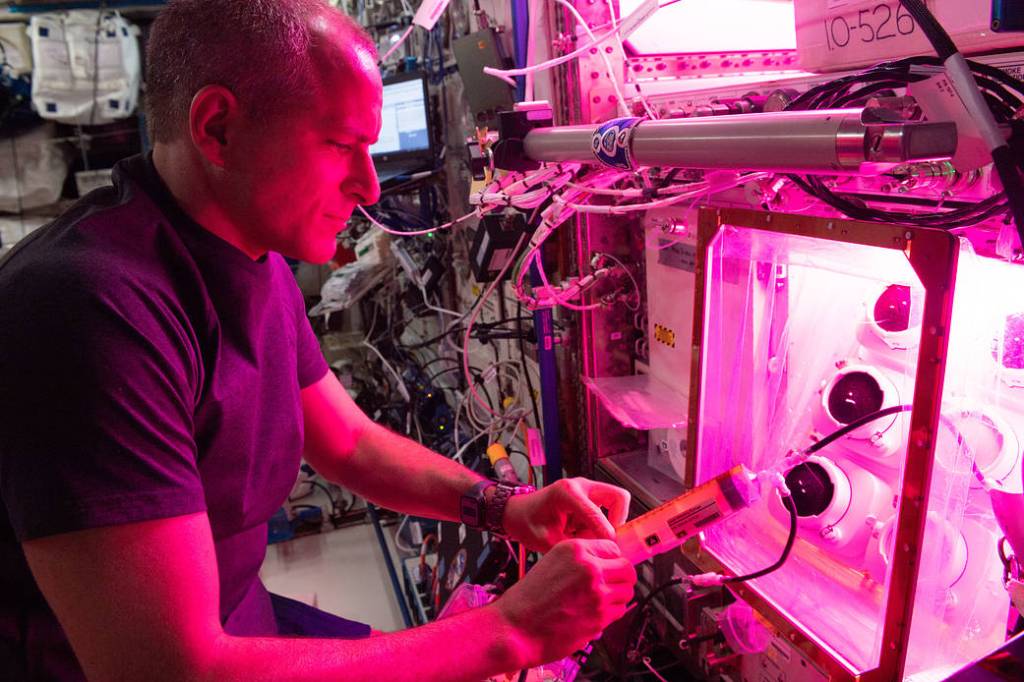 Astronaut David Saint-Jacques conducts botany research