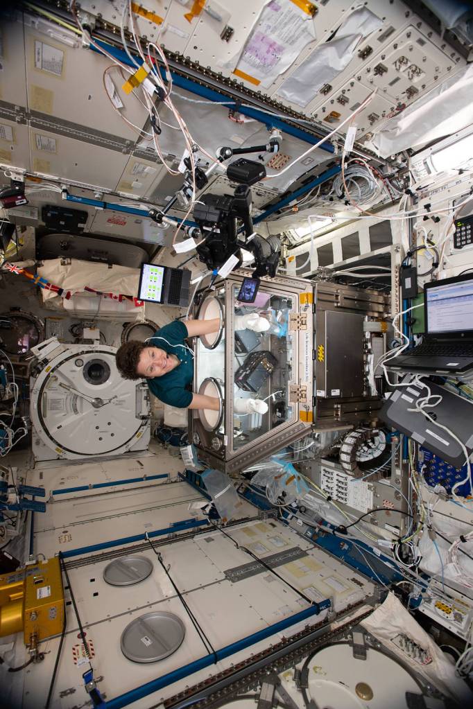 NASA astronaut Anne McClain works on Kidney Cells hardware