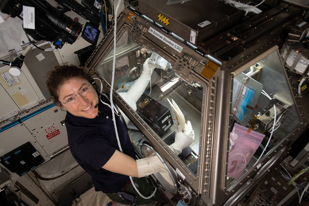 NASA astronaut Christina Koch conducts Kidney Cells research