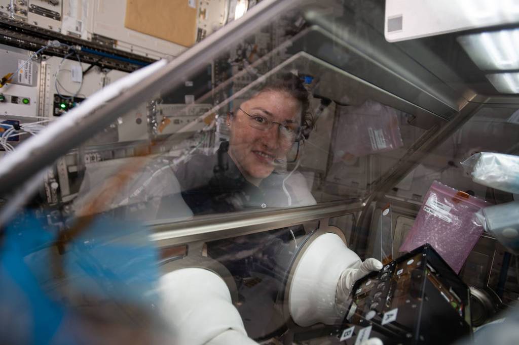 NASA astronaut Christina Koch conducts research for the Kidney Cells investigation
