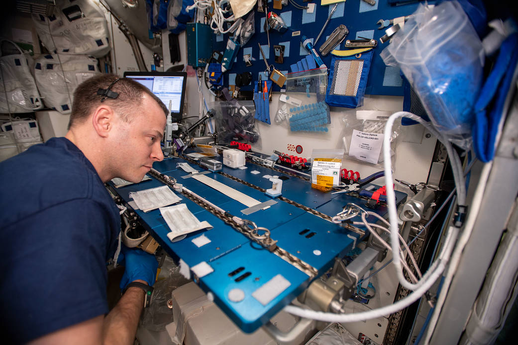 NASA astronaut Nick Hague sequences DNA samples