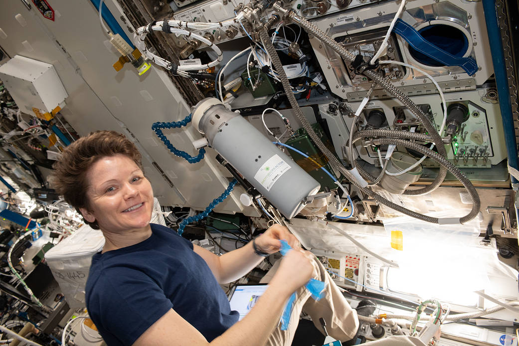 NASA astronaut Anne McClain works with Photobioreactor hardware