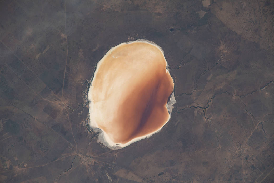 The highly saline Lake Elton in Russia