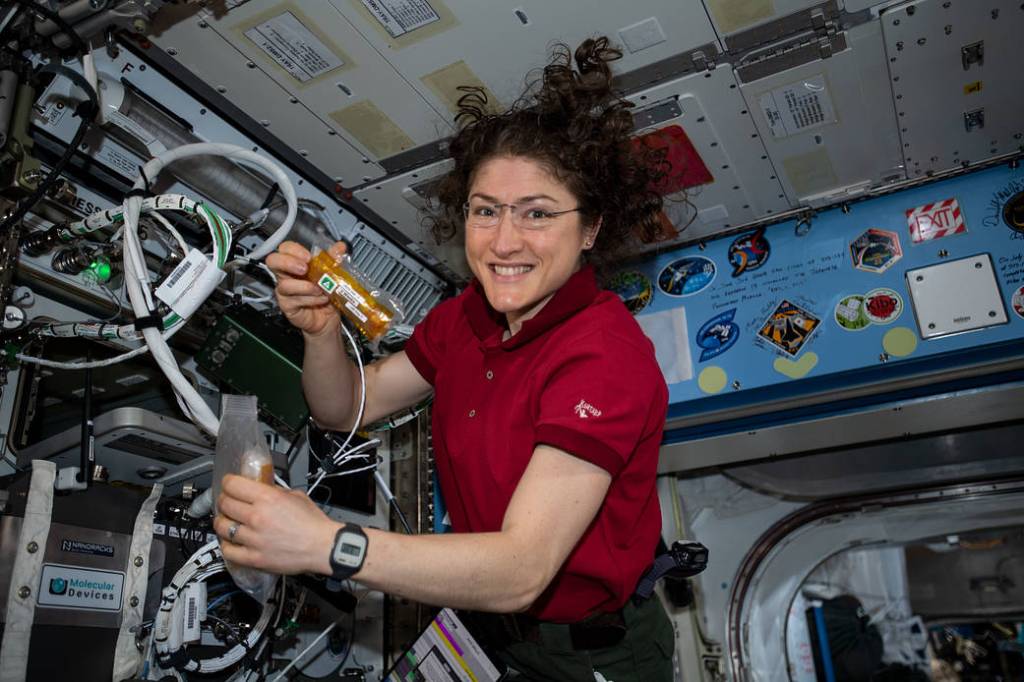 Christina Koch conducts research operations for a protein crystal growth experiment