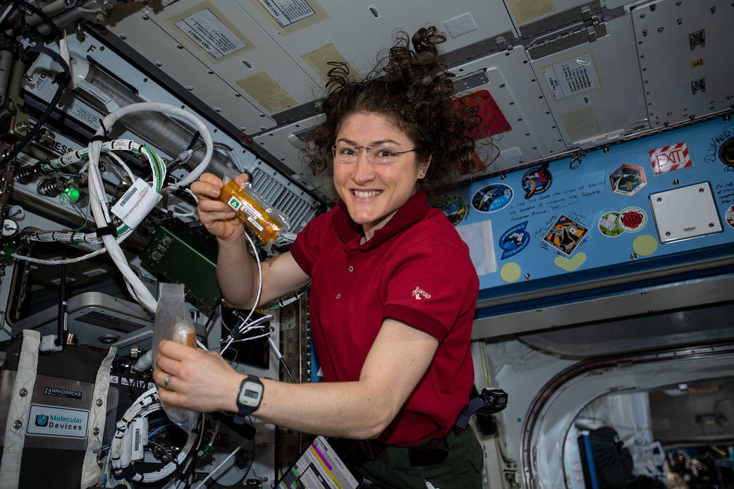 Christina Koch conducts research operations for a protein crystal growth experiment