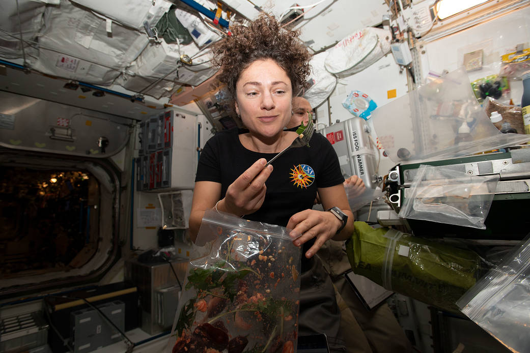 NASA astronaut Jessica Meir dines on fresh Mizuna mustard greens
