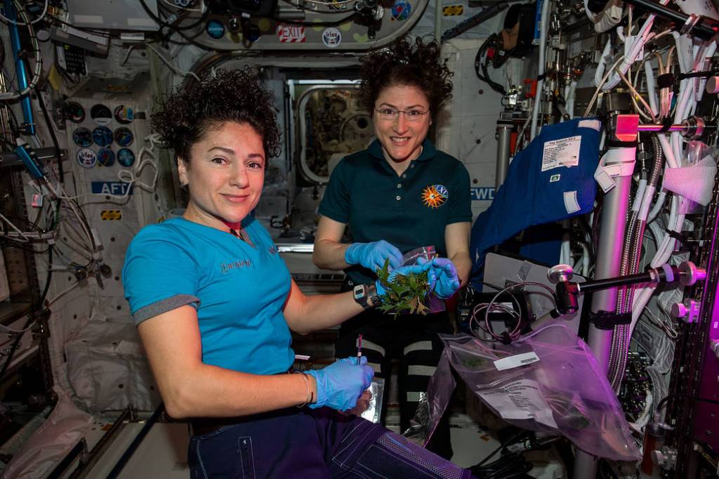 NASA astronauts Jessica Meir and Christina Koch harvest Mizuna mustard greens