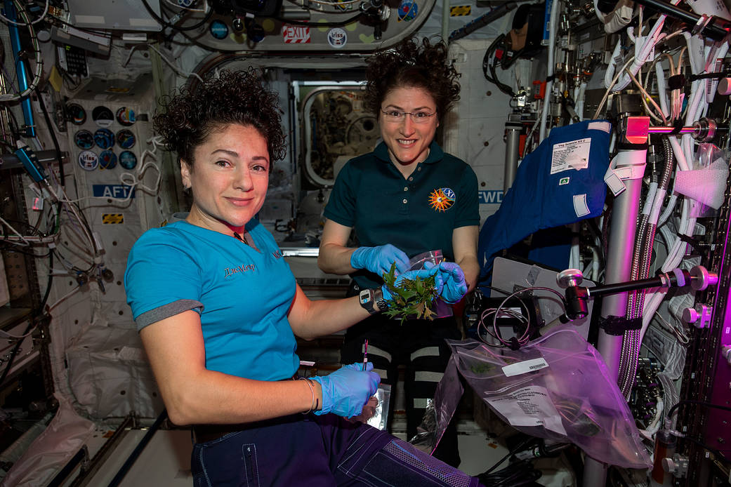 NASA astronauts Jessica Meir and Christina Koch harvest Mizuna mustard greens