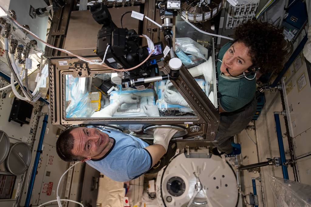 Astronauts Andrew Morgan and Jessica Meir conduct research operations