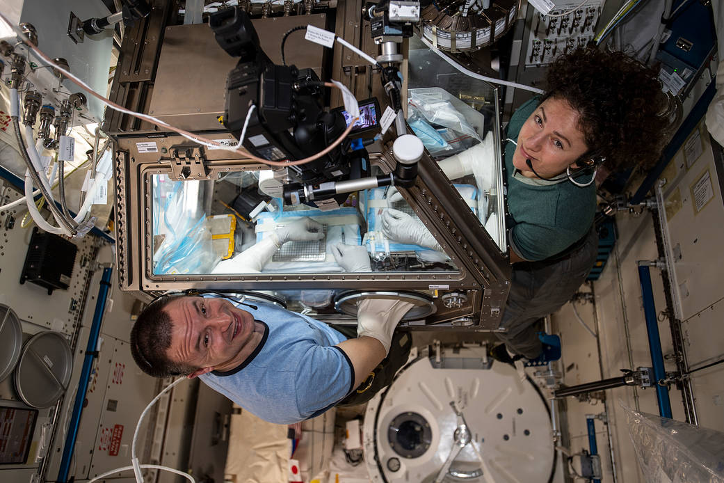 Astronauts Andrew Morgan and Jessica Meir conduct research operations
