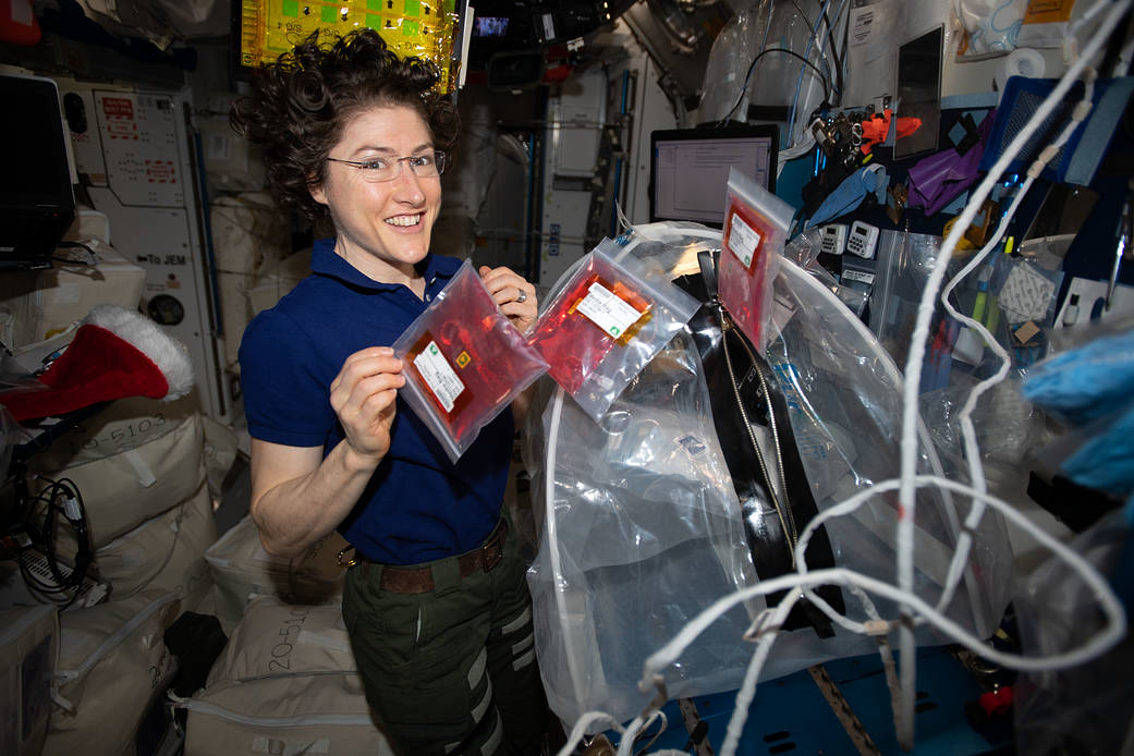 NASA astronaut Christina Koch