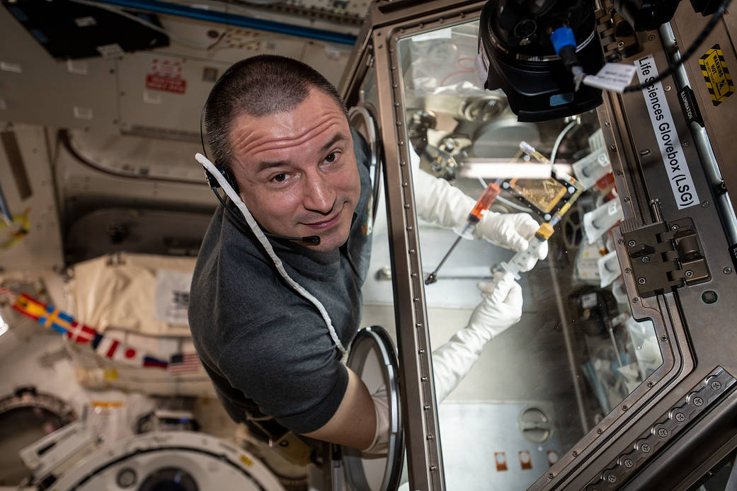 NASA astronaut Andrew Morgan conducts research operations inside the Life Sciences Glovebox