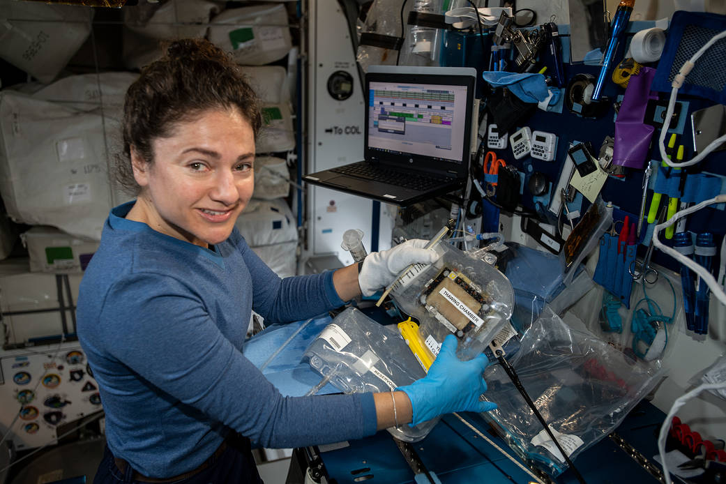 Astronaut Jessica Meir works with bone research hardware