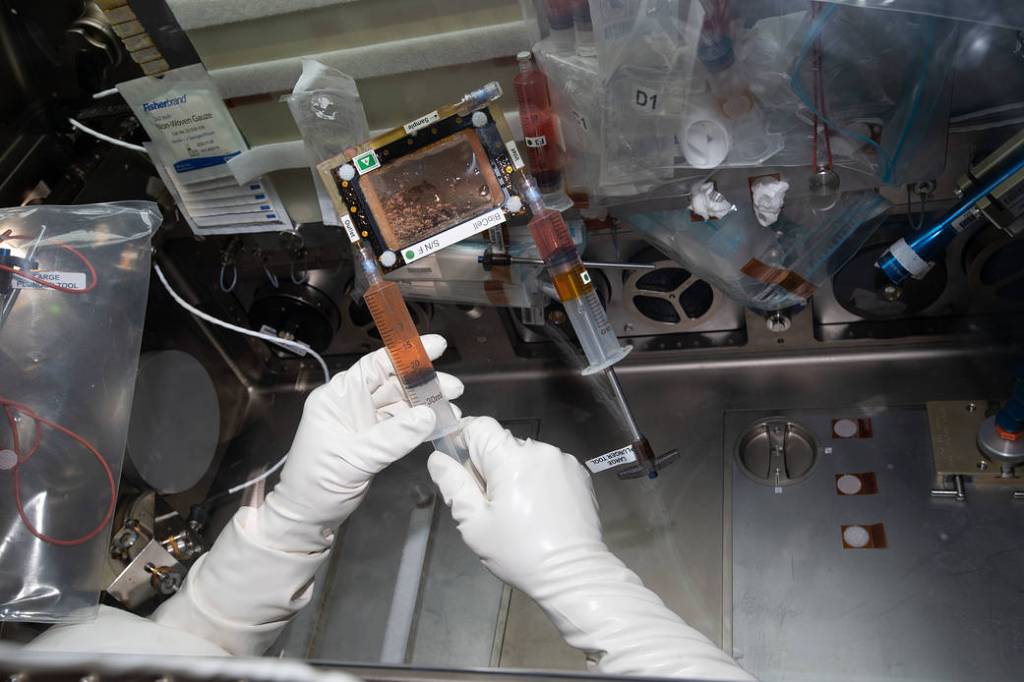 A view inside the Life Science Glovebox