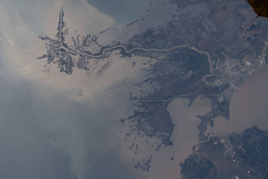 The Mississippi River runs through New Orleans and into the Gulf of Mexico