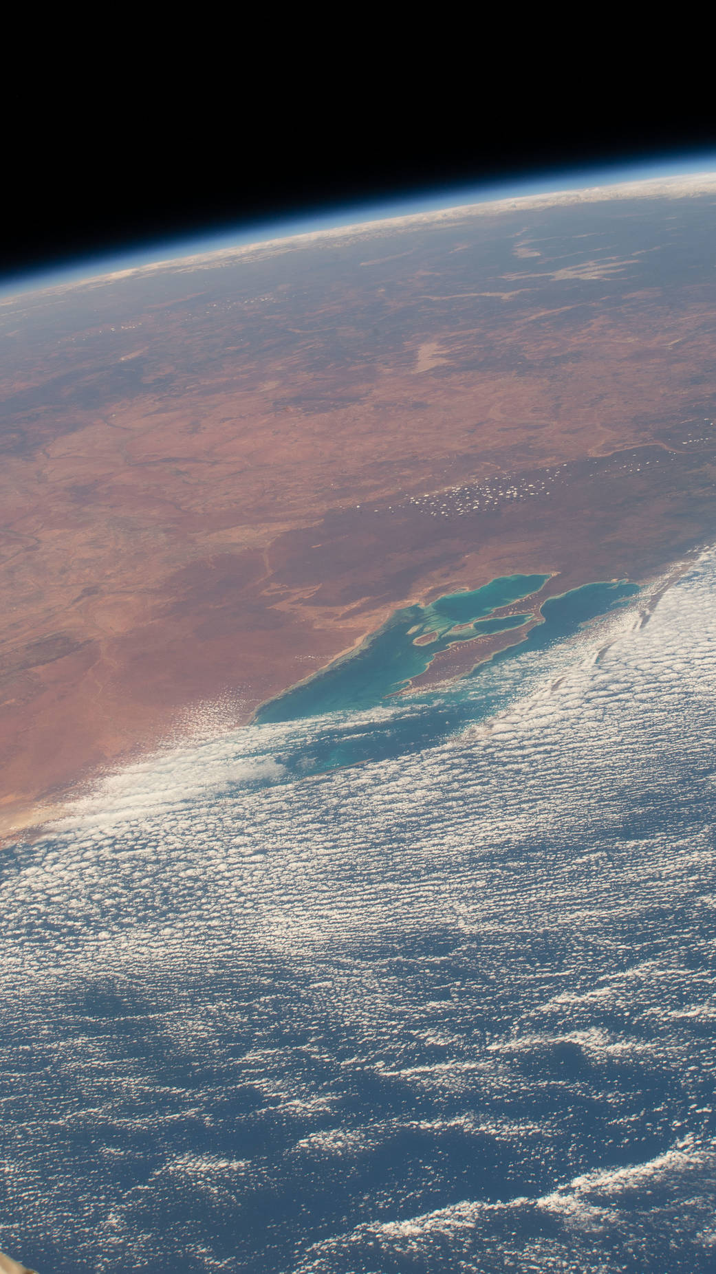 Shark Bay on the coast of Western Australia