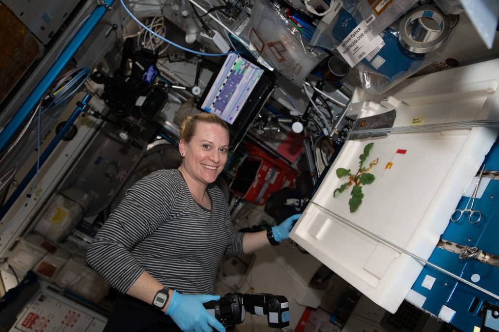 Expedition 64 Flight Engineer Kate Rubins photographs radish leaves