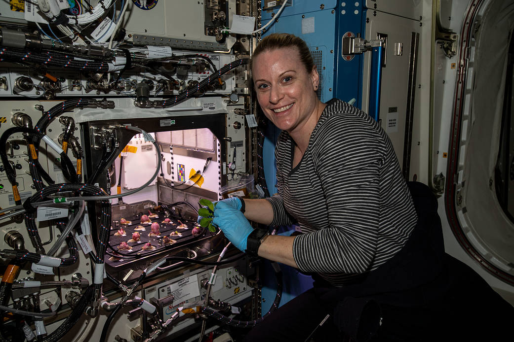Expedition 64 Flight Engineer Kate Rubins is pictured with radish bulbs
