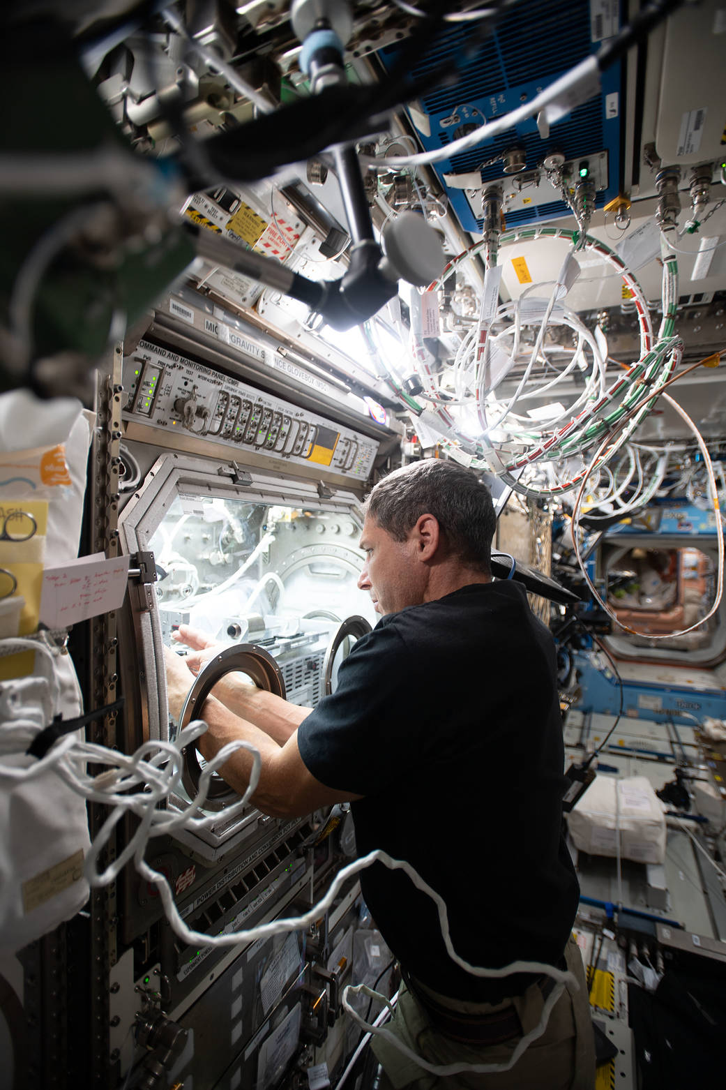 Astronaut Michael Hopkins conducts fiber optic research activities