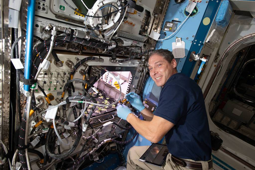 Expedition 64 Flight Engineer Michael Hopkins checks on radish plants