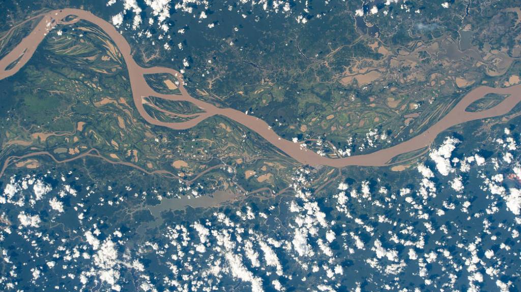 The Amazon River