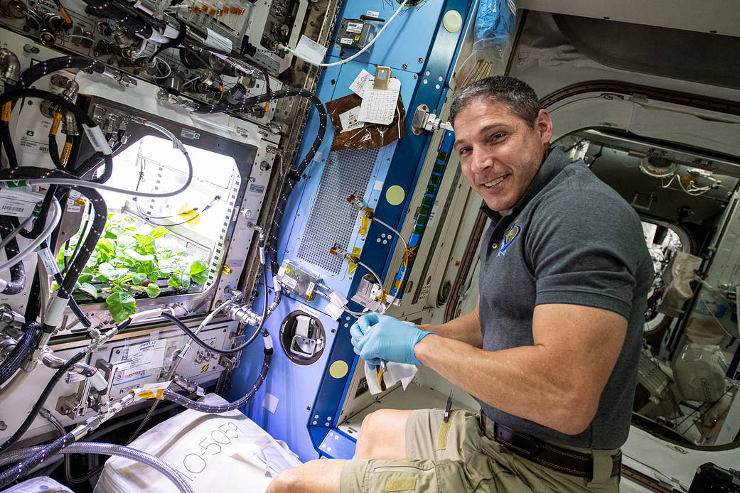 Astronaut Michael Hopkins poses with radish plants growing on the station