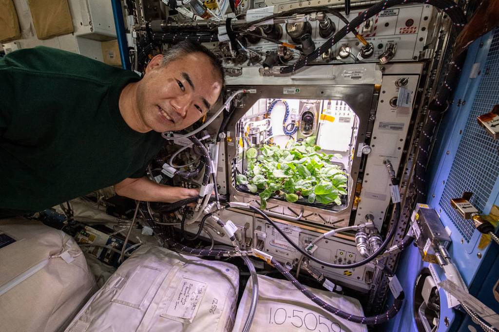 Astronaut Soichi Noguchi poses with radish plants growing on the station