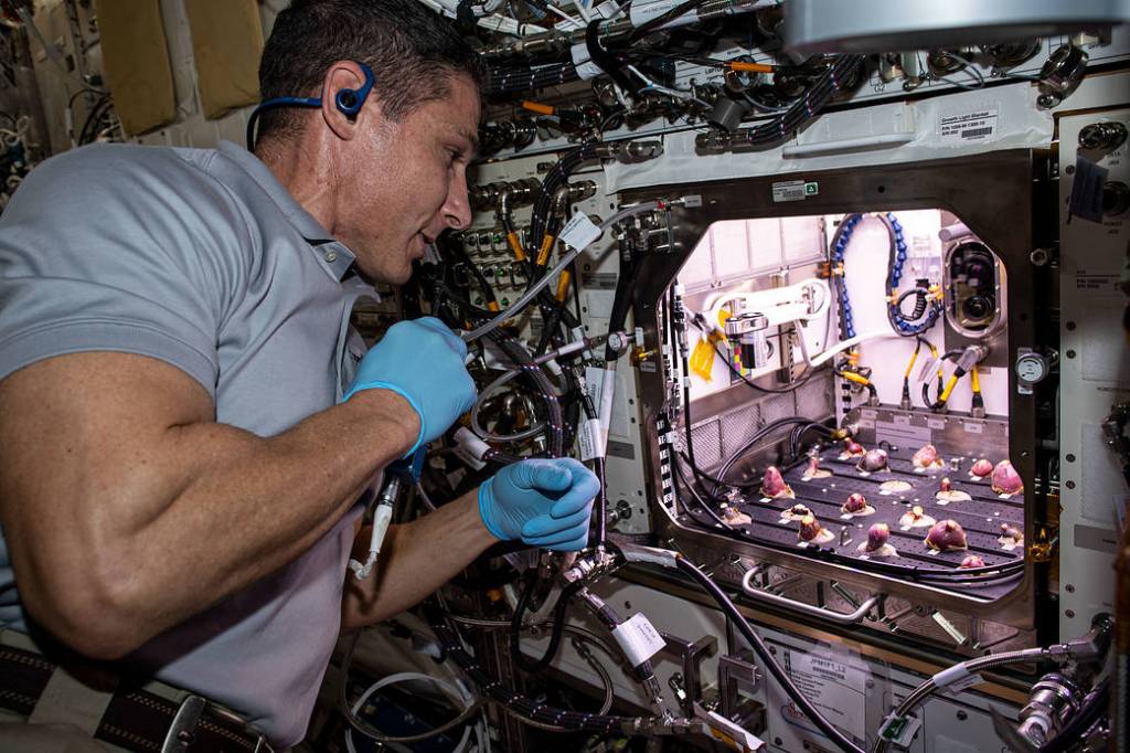 Astronaut Michael Hopkins works in the Advanced Plant Habitat