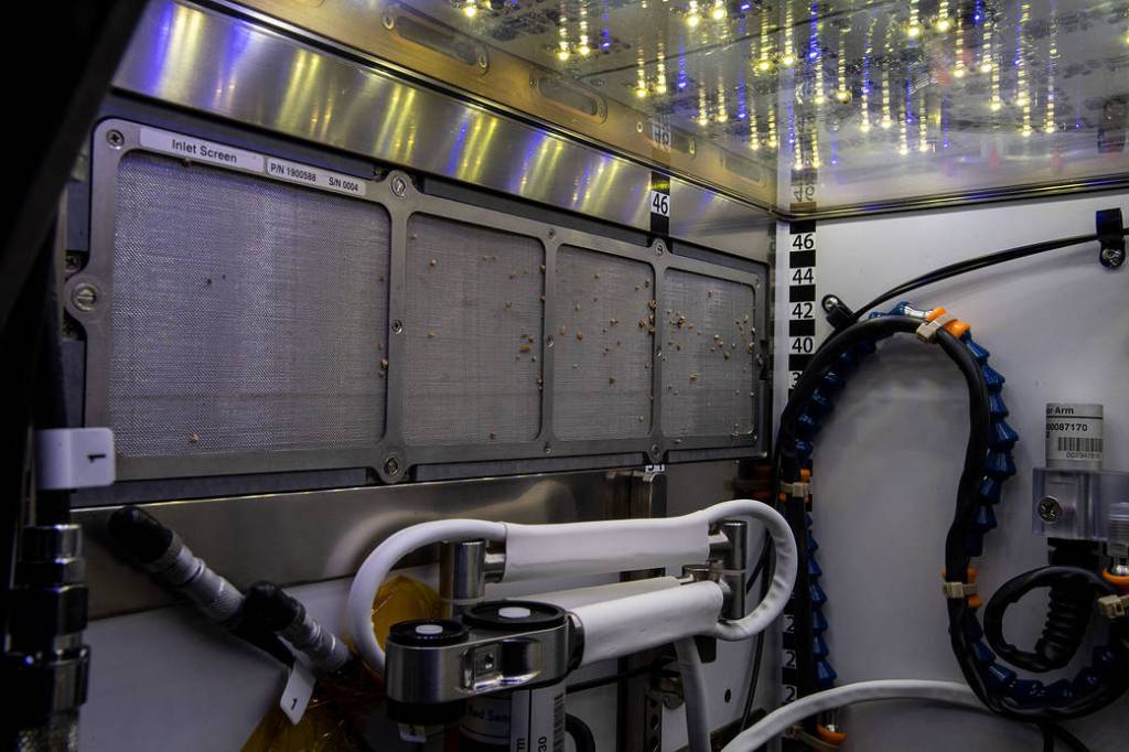 The inside of the Advanced Plant Habitat aboard the station