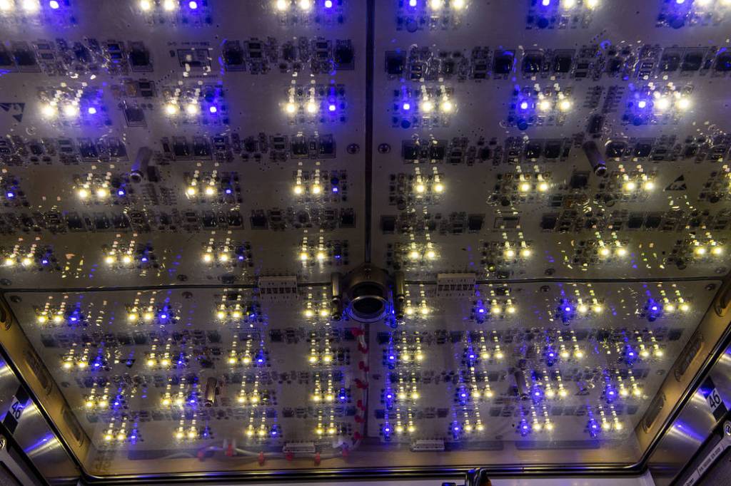 Lights are pictured inside the Advanced Plant Habitat