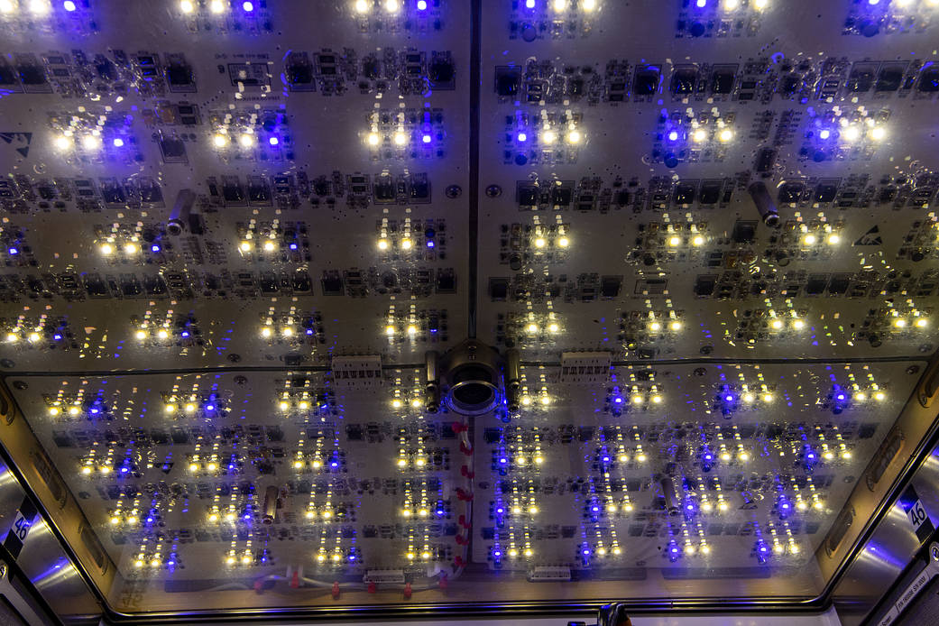 Lights are pictured inside the Advanced Plant Habitat