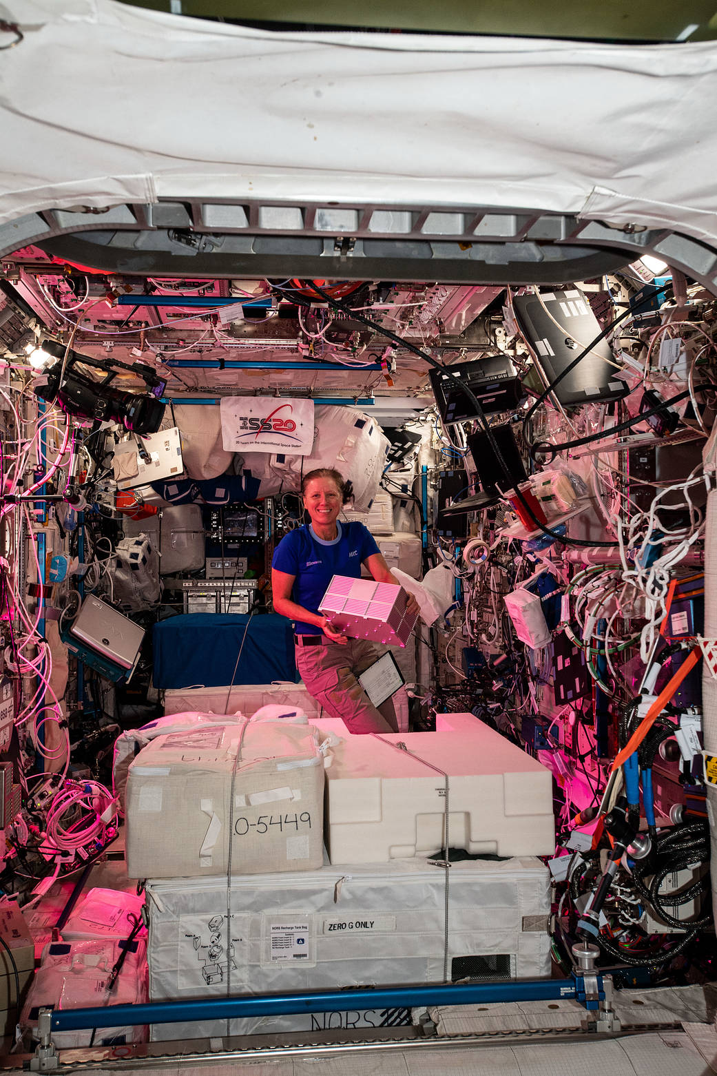Astronaut Shannon Walker works inside the Columbus lab module