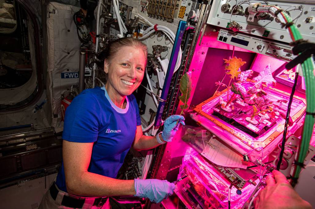 Expedition 64 Flight Engineer Shannon Walker collects leaf samples