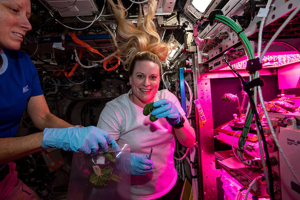 Astronauts Shannon Walker and Kate Rubins collect leaf samples