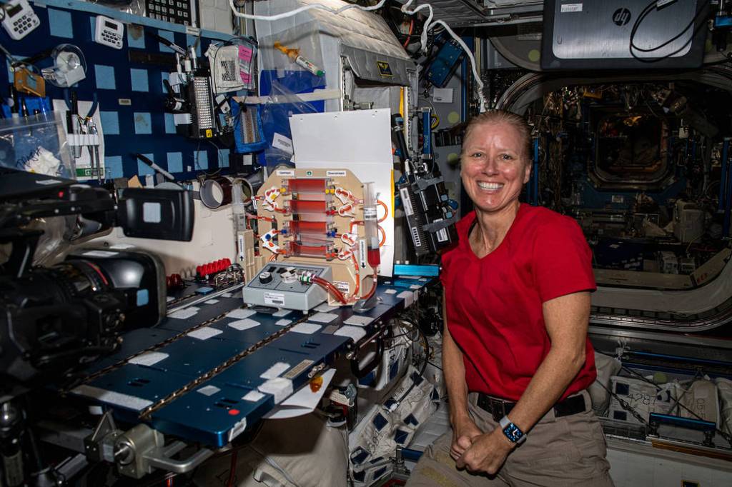 Astronaut Shannon Walker researches fluid and gas mixtures