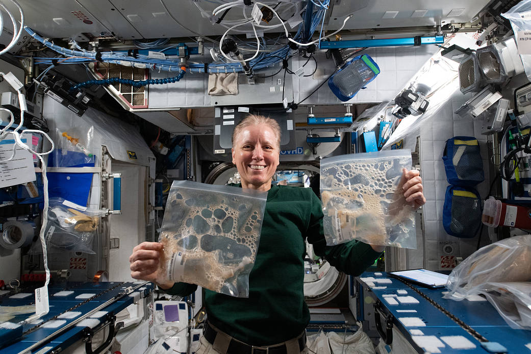Astronaut Shannon Walker works a space agriculture study