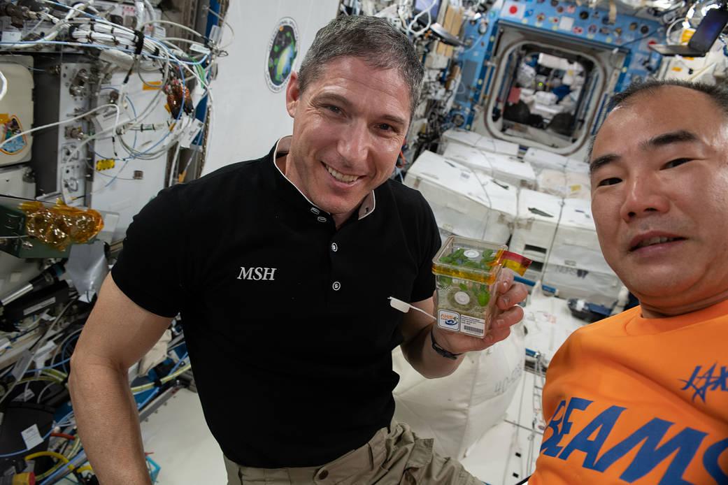 Astronauts Michael Hopkins and Soichi Noguchi work space botany