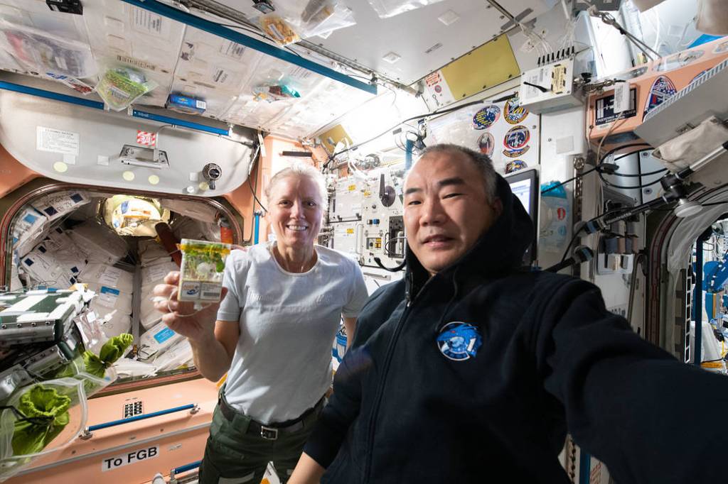 Astronauts Shannon Walker of NASA and Soichi Noguchi of JAXA