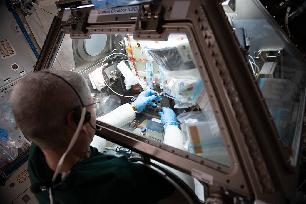 NASA astronaut Mark Vande Hei works on the Celestial Immunity study