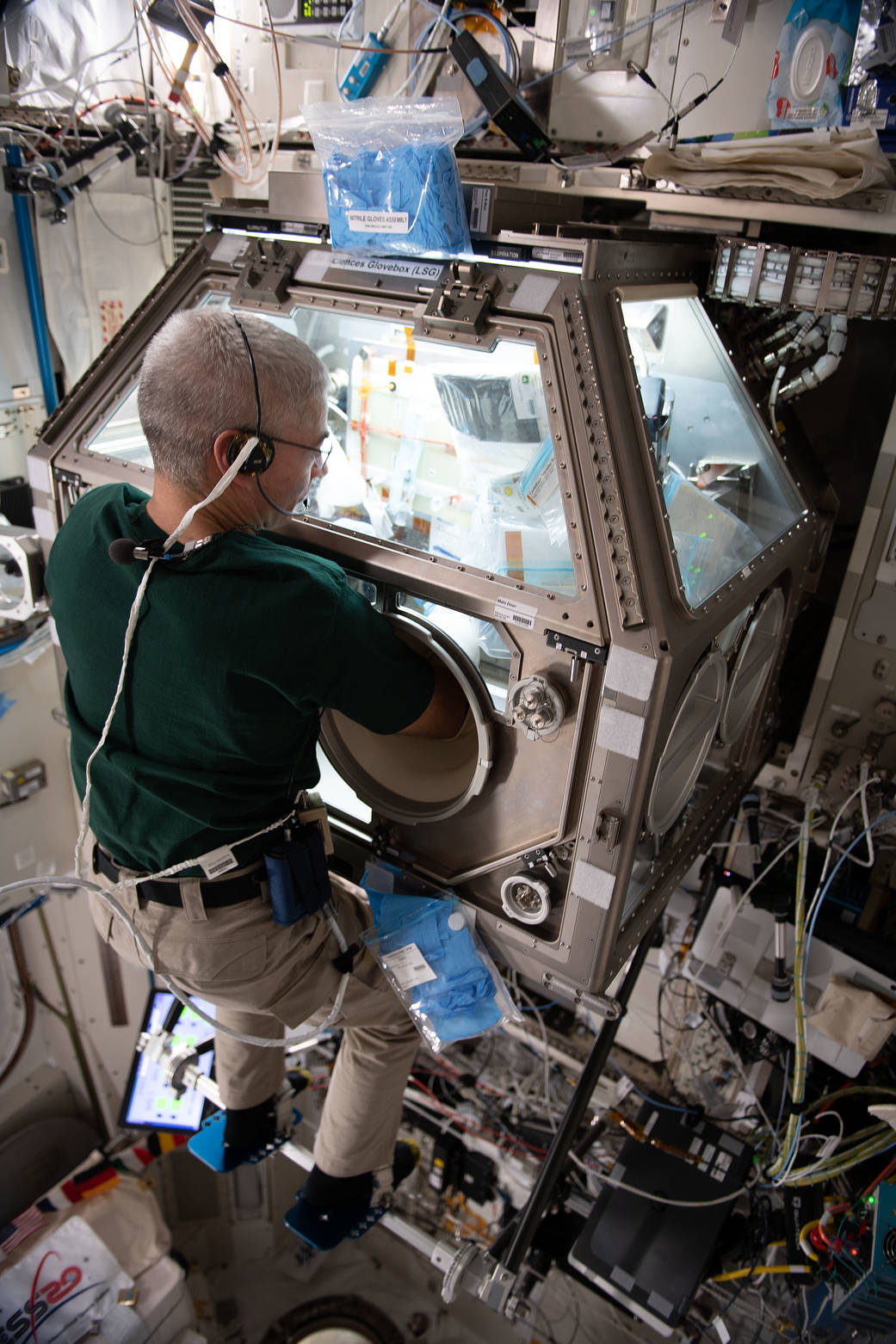 NASA astronaut Mark Vande Hei works on the Celestial Immunity study