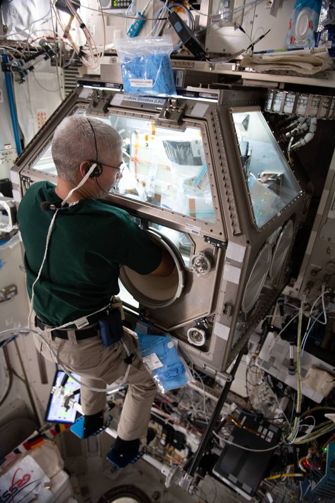 NASA astronaut Mark Vande Hei works on the Celestial Immunity study