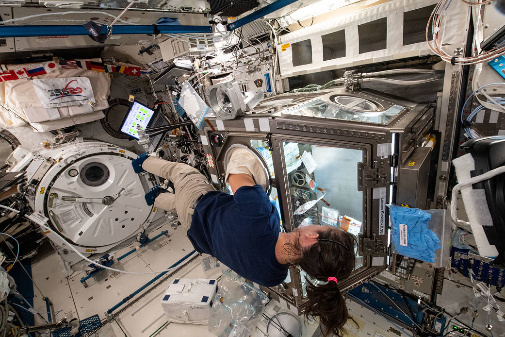 Astronaut Megan McArthur services cells for the Celestial Immunity study