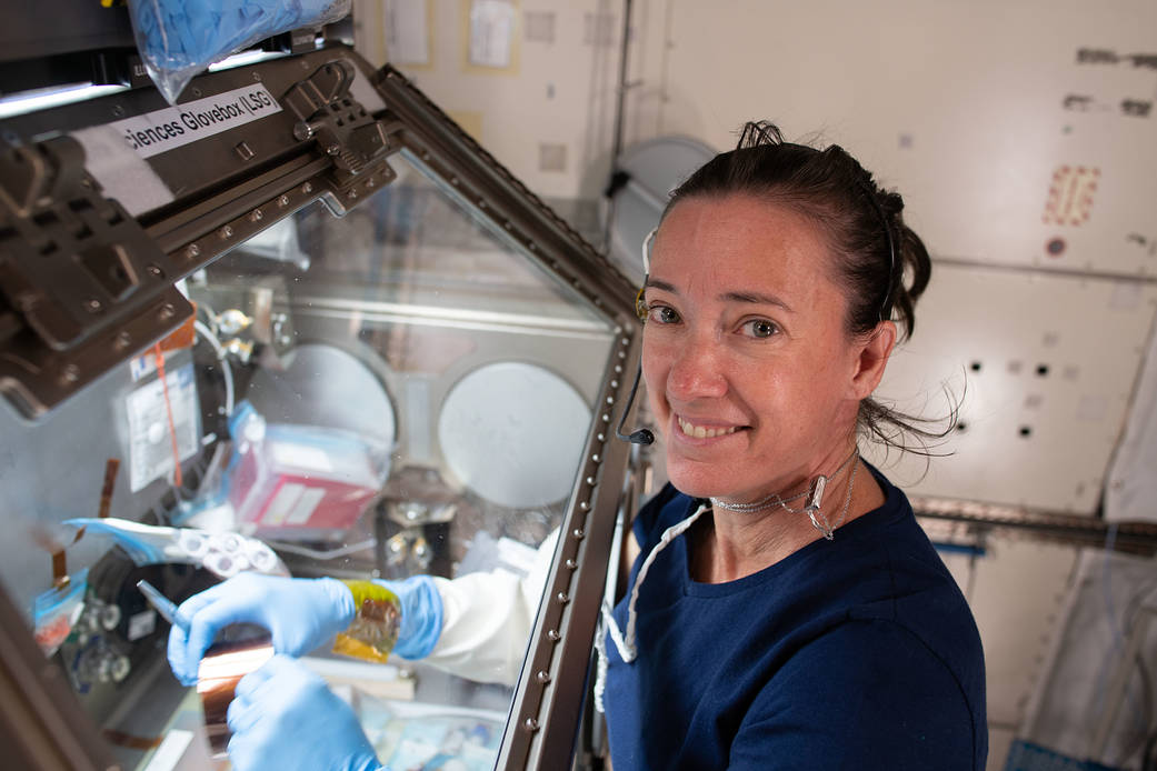 Astronaut Megan McArthur services cells for the Celestial Immunity study